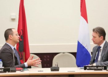 Ditmir Bushati and Halbe Zijstra