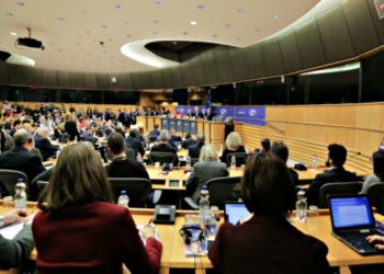 friends of albania european parliament